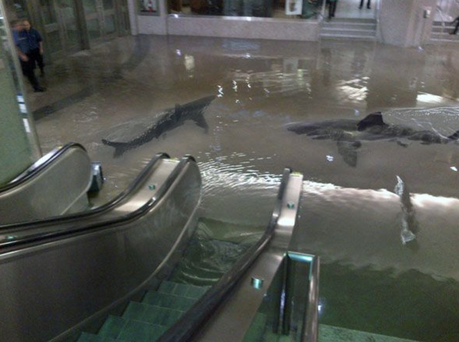 Pedestrian areas underwater